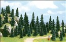 -4001738064995-100 Stecktannen