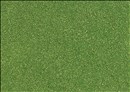 -4001738070422-Micro-Streupulver maigrün