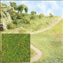 -4001738070552-Streupulver Blumen