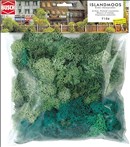 -4001738071061-Islandmoos
