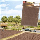 -4001738071825-Acker mit Furchen