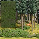 -4001738073485-Foliage Waldheidelbeeren