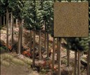 -4001738075281-Laubwald-Boden