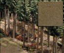 -4001738075298-Nadelwaldboden