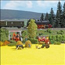 -4001738097719-Rapsfeld